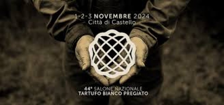 Mostra Nazionale del Tartufo Bianco – Città di Castello 2024